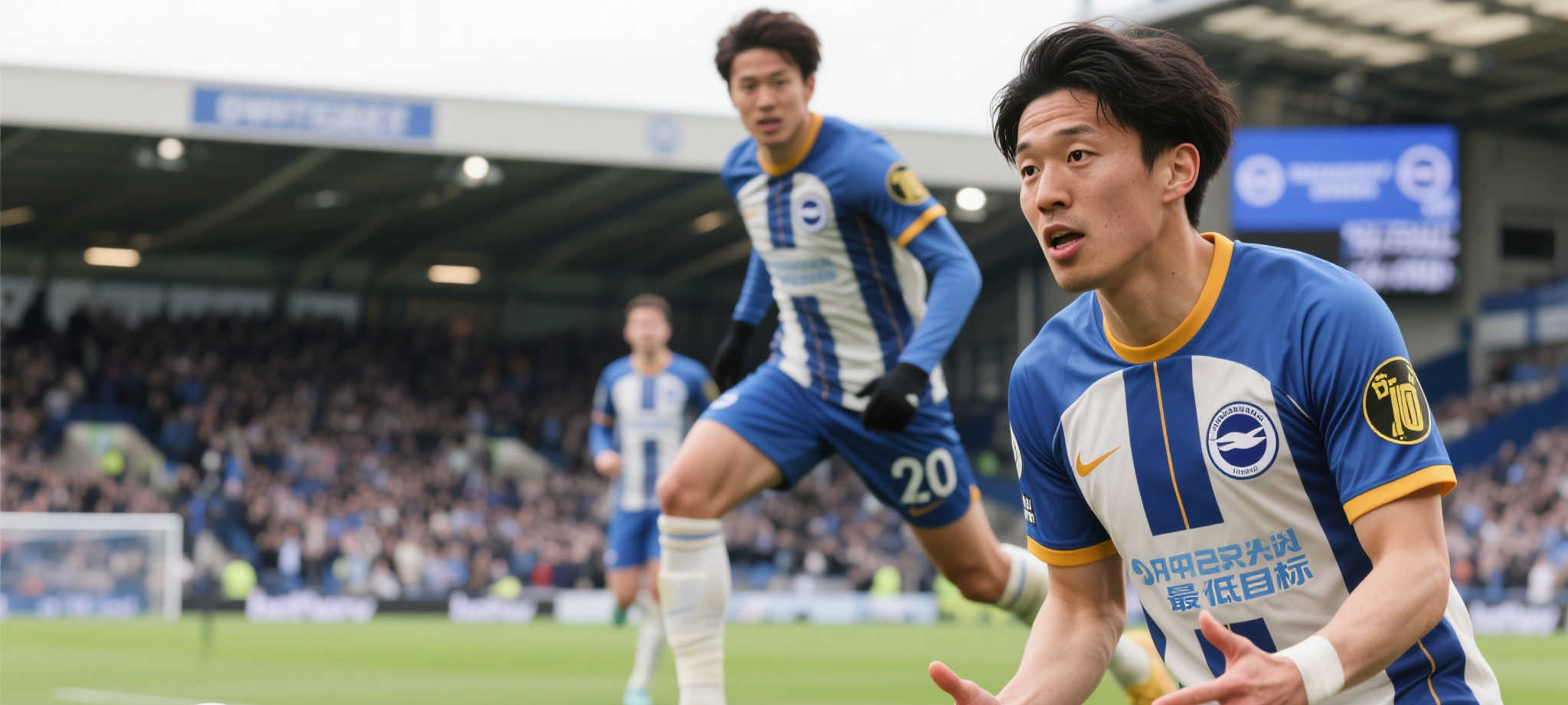 开云体育官网简介